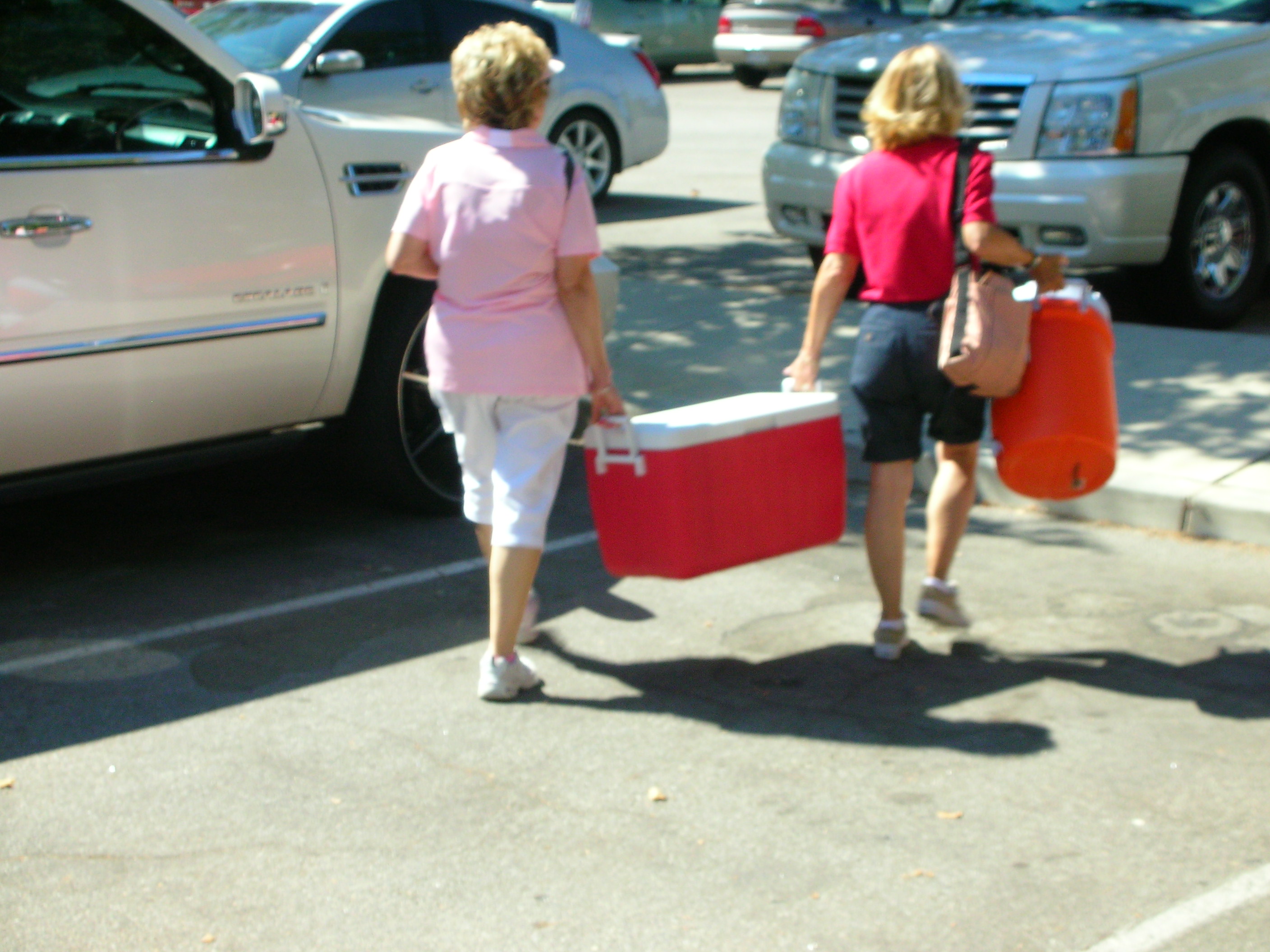 Simi Valley Corvettes