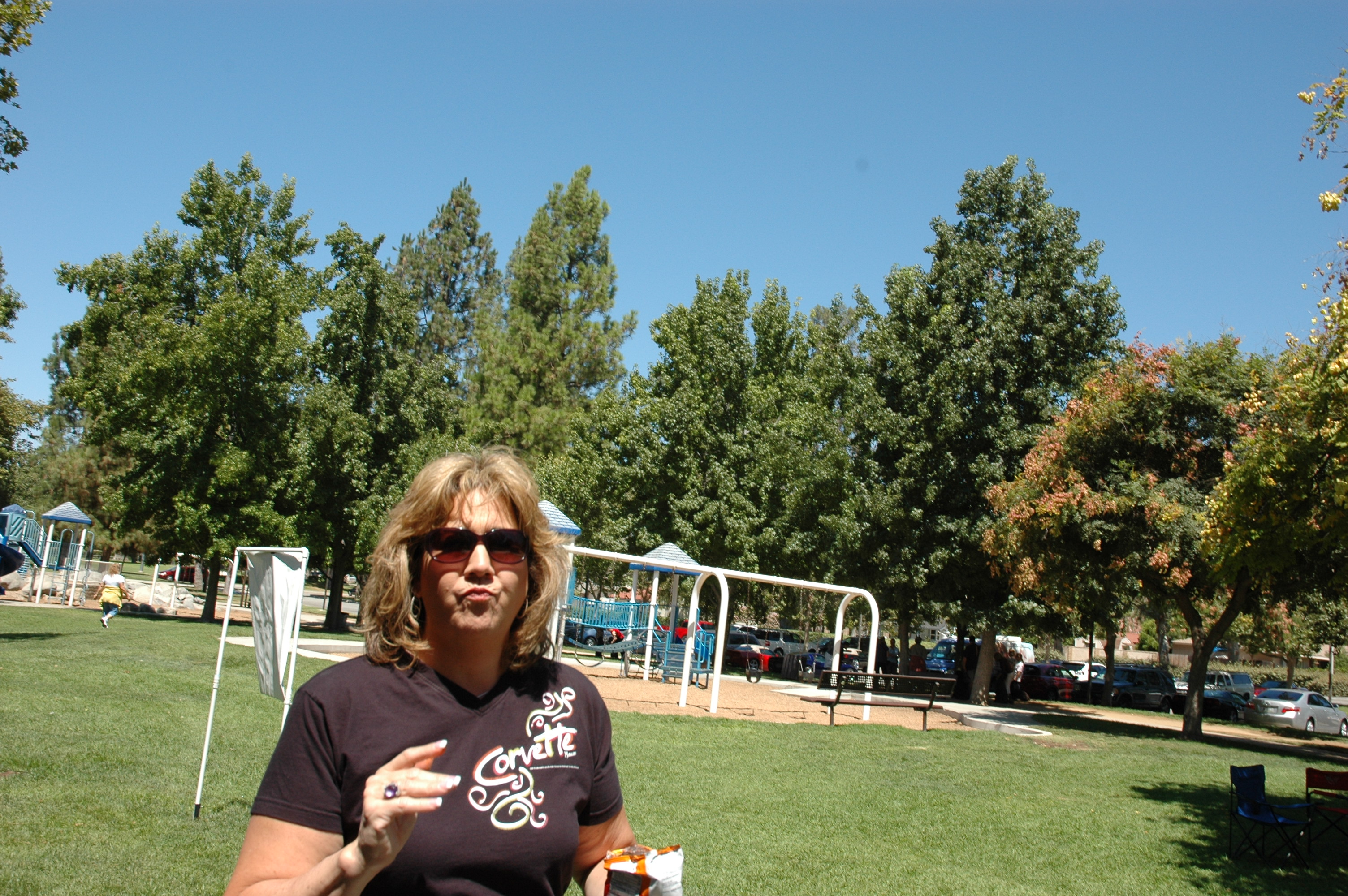 Simi Valley Corvettes