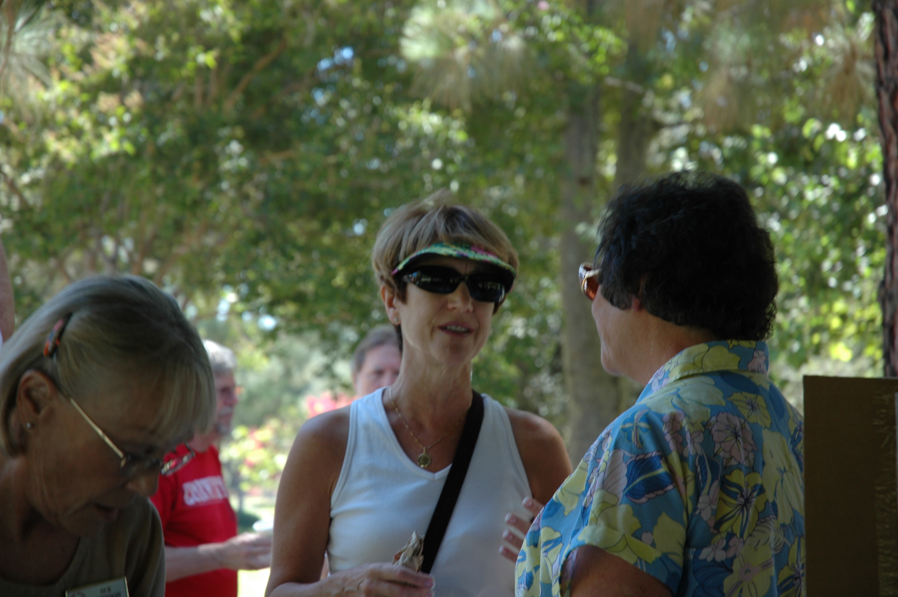 Simi Valley Corvettes