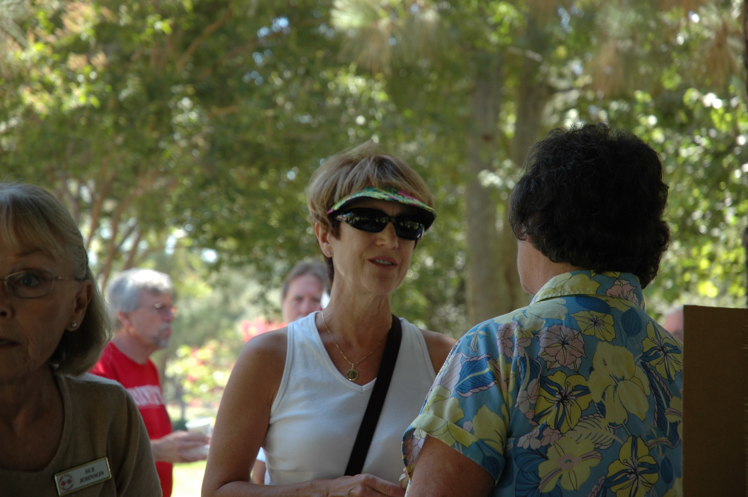 Simi Valley Corvettes