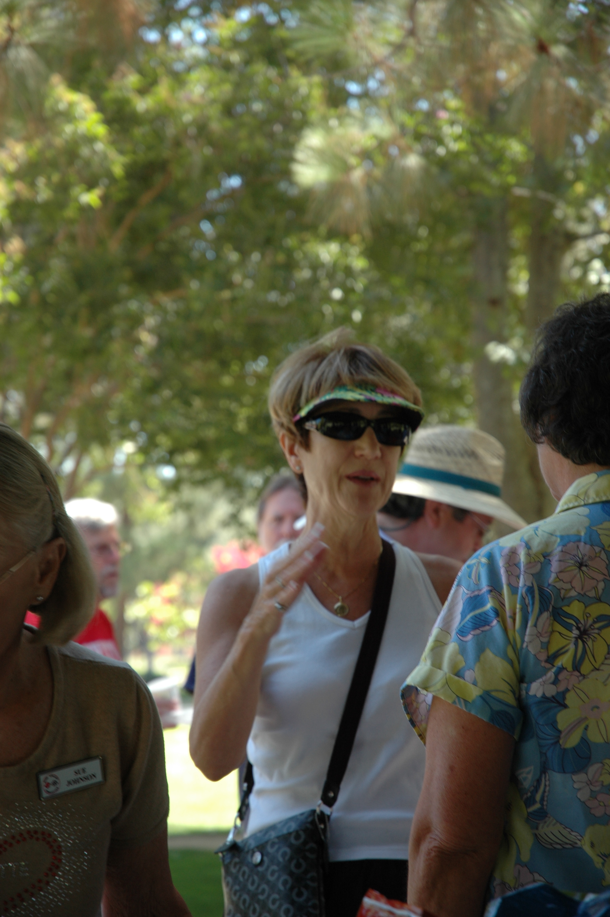 Simi Valley Corvettes