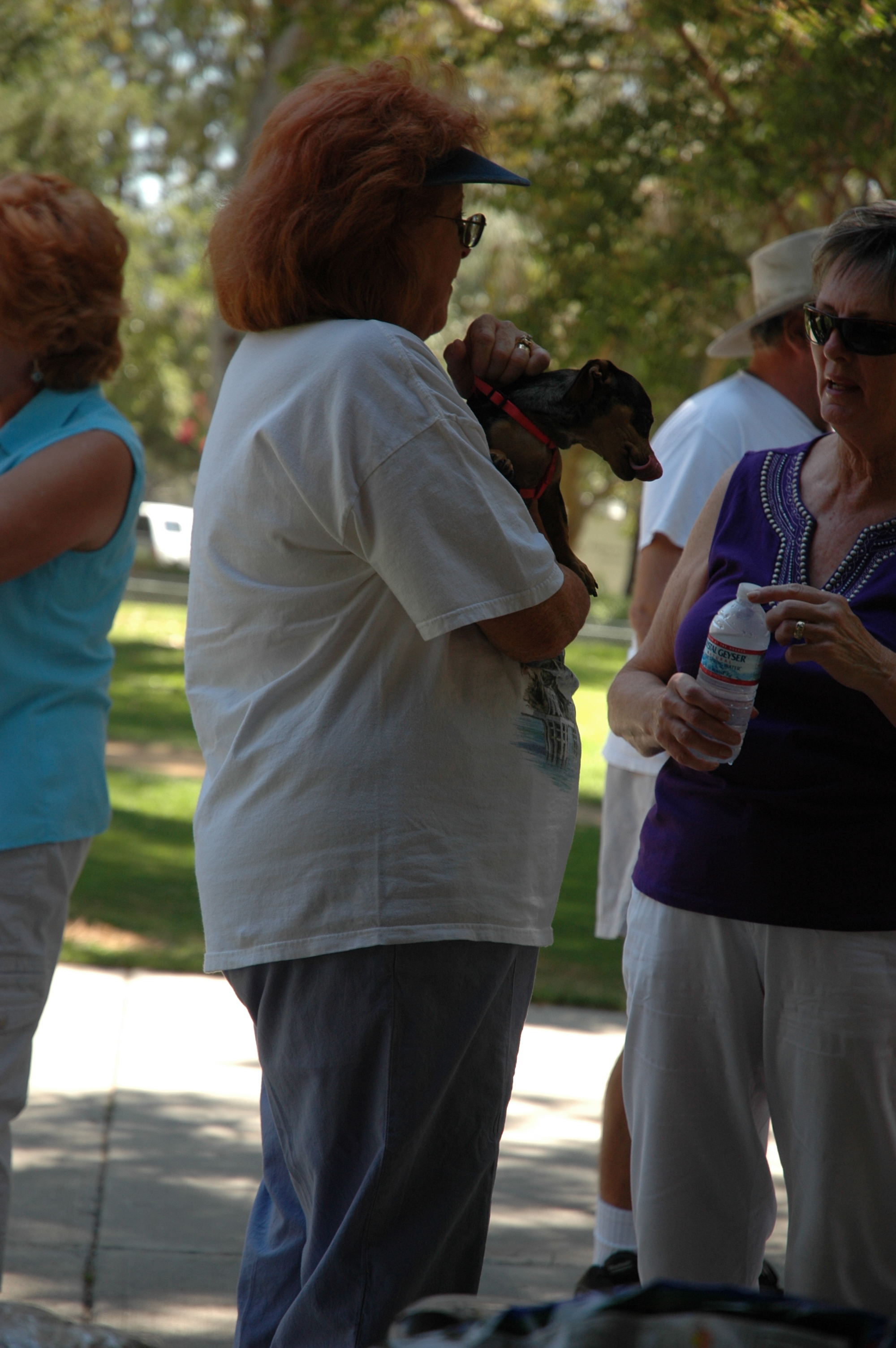 Simi Valley Corvettes
