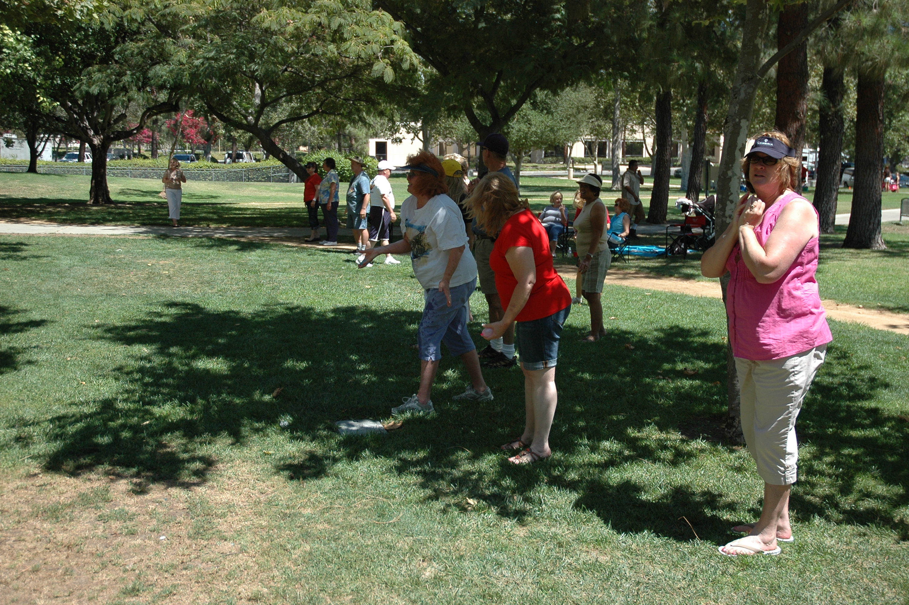 Simi Valley Corvettes