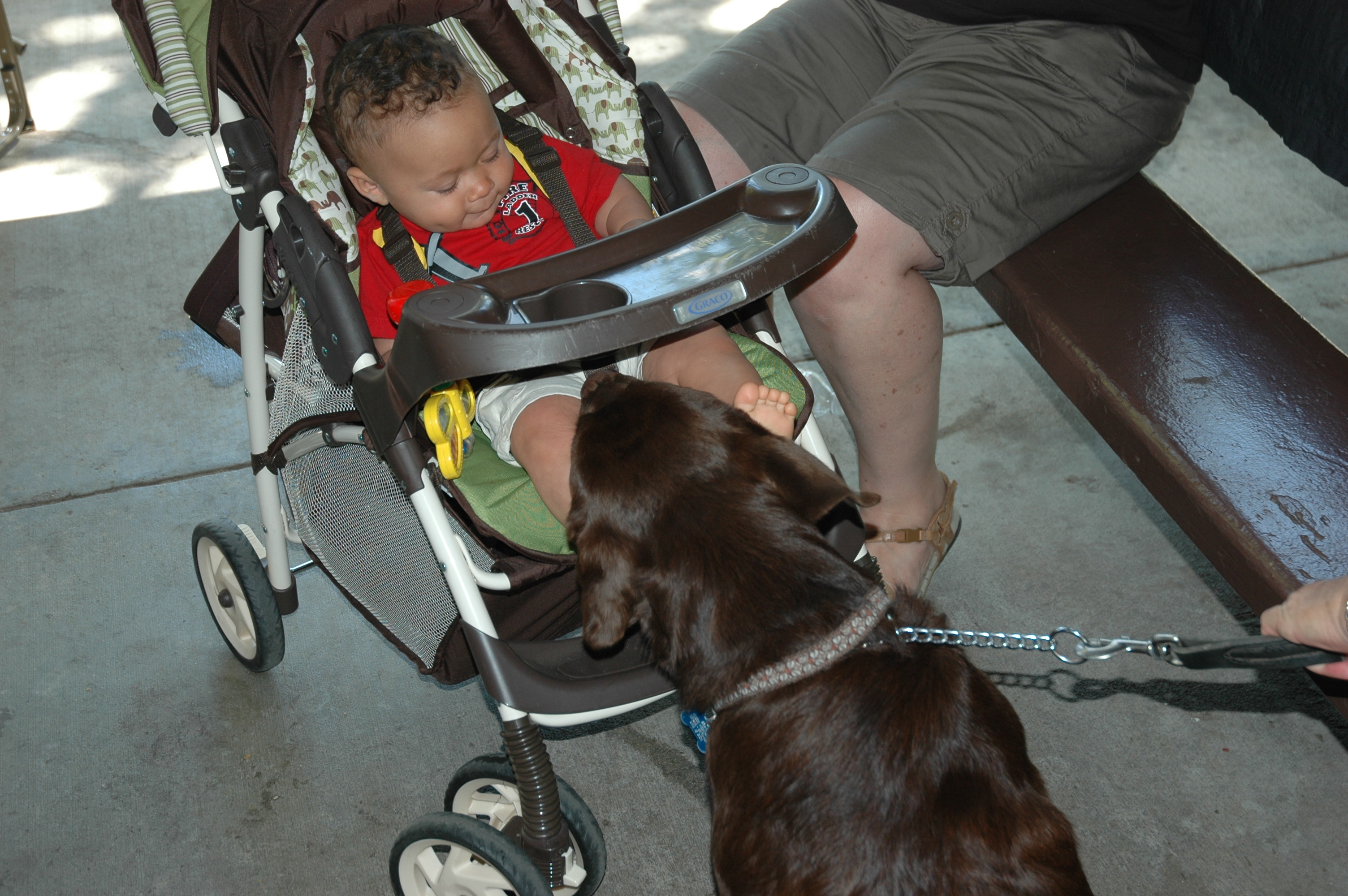 Simi Valley Corvettes