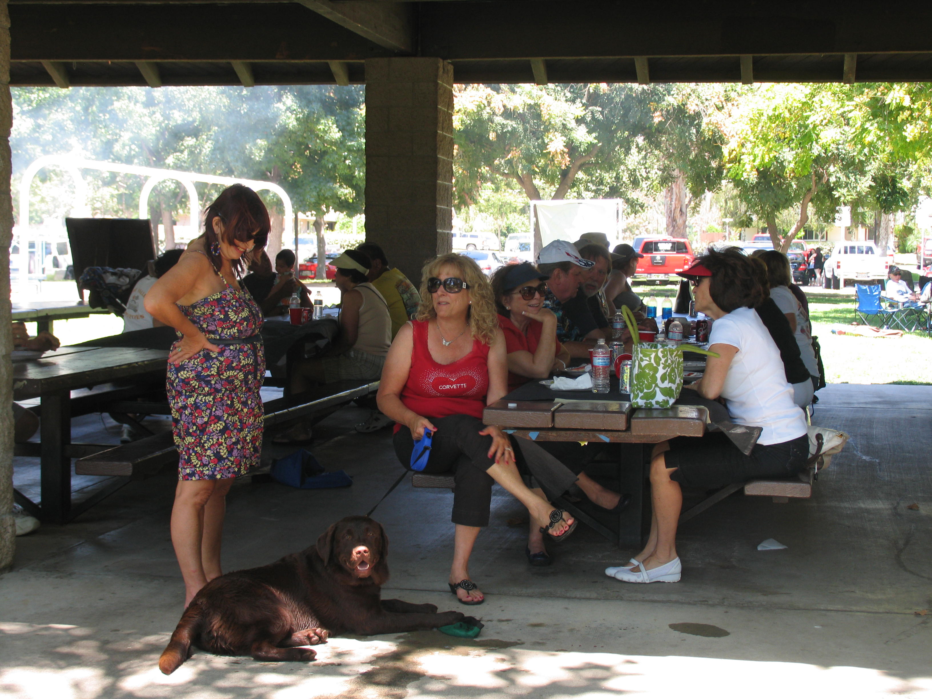 Simi Valley Corvettes