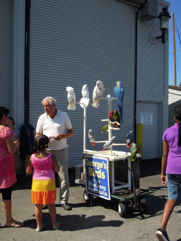 Simi Valley Corvettes
