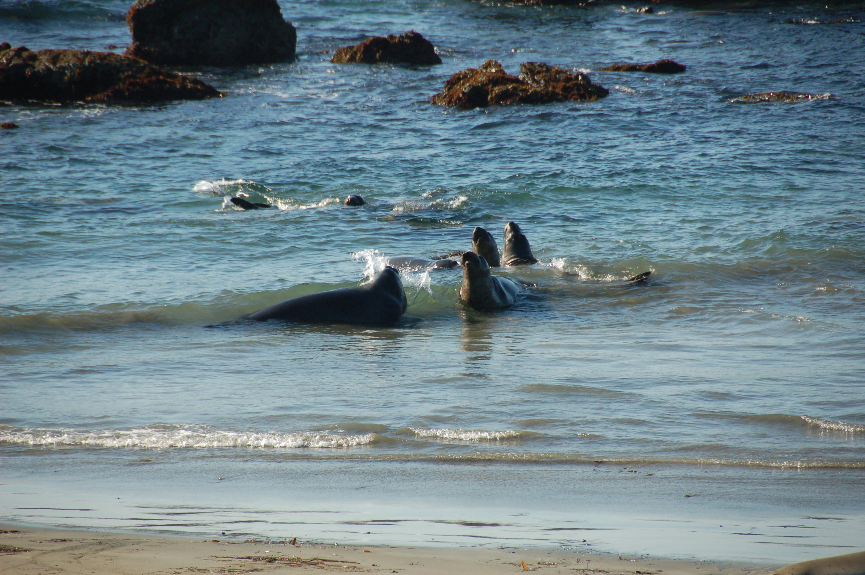 Simi Valley Corvettes
