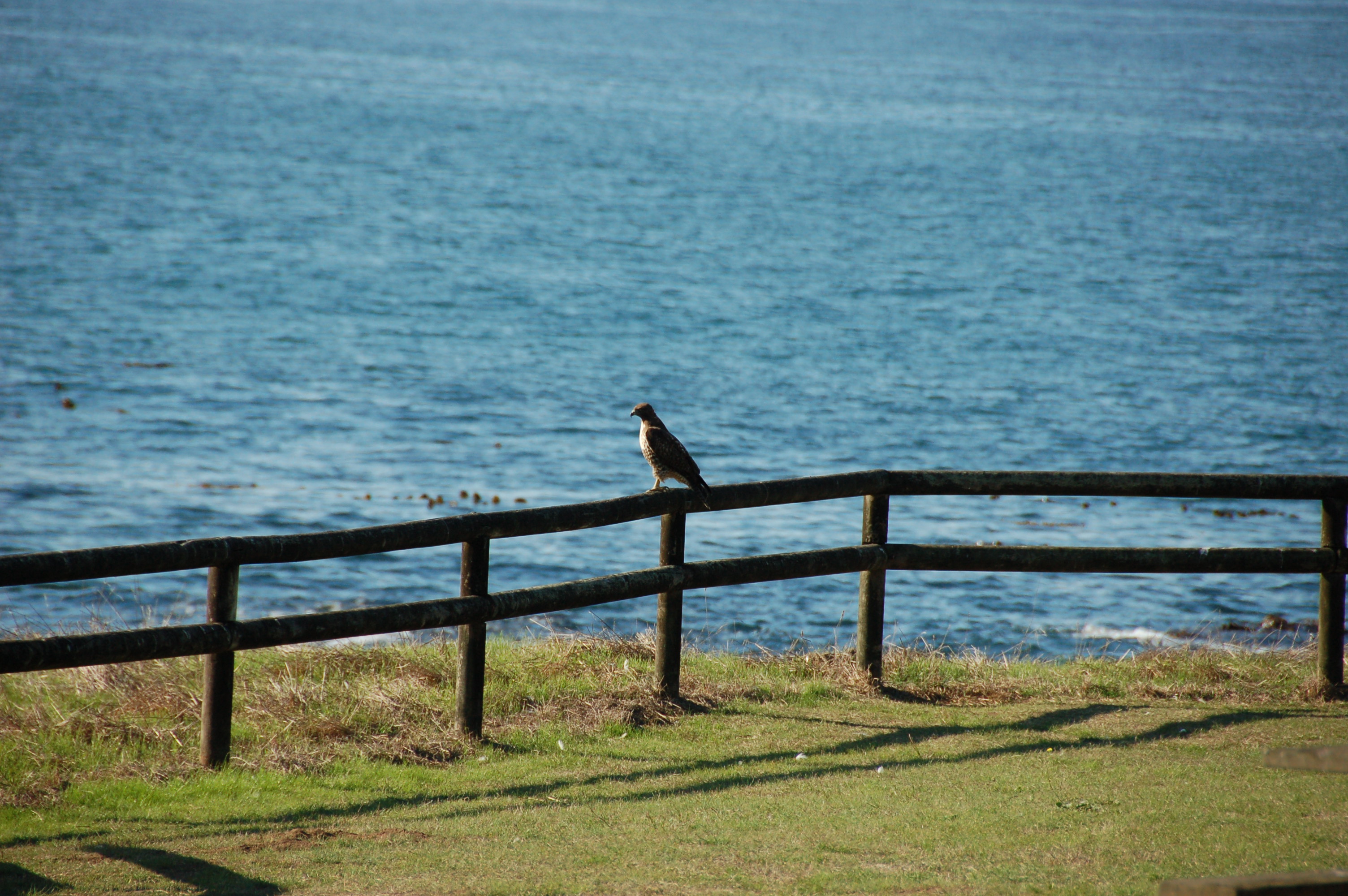 Simi Valley Corvettes