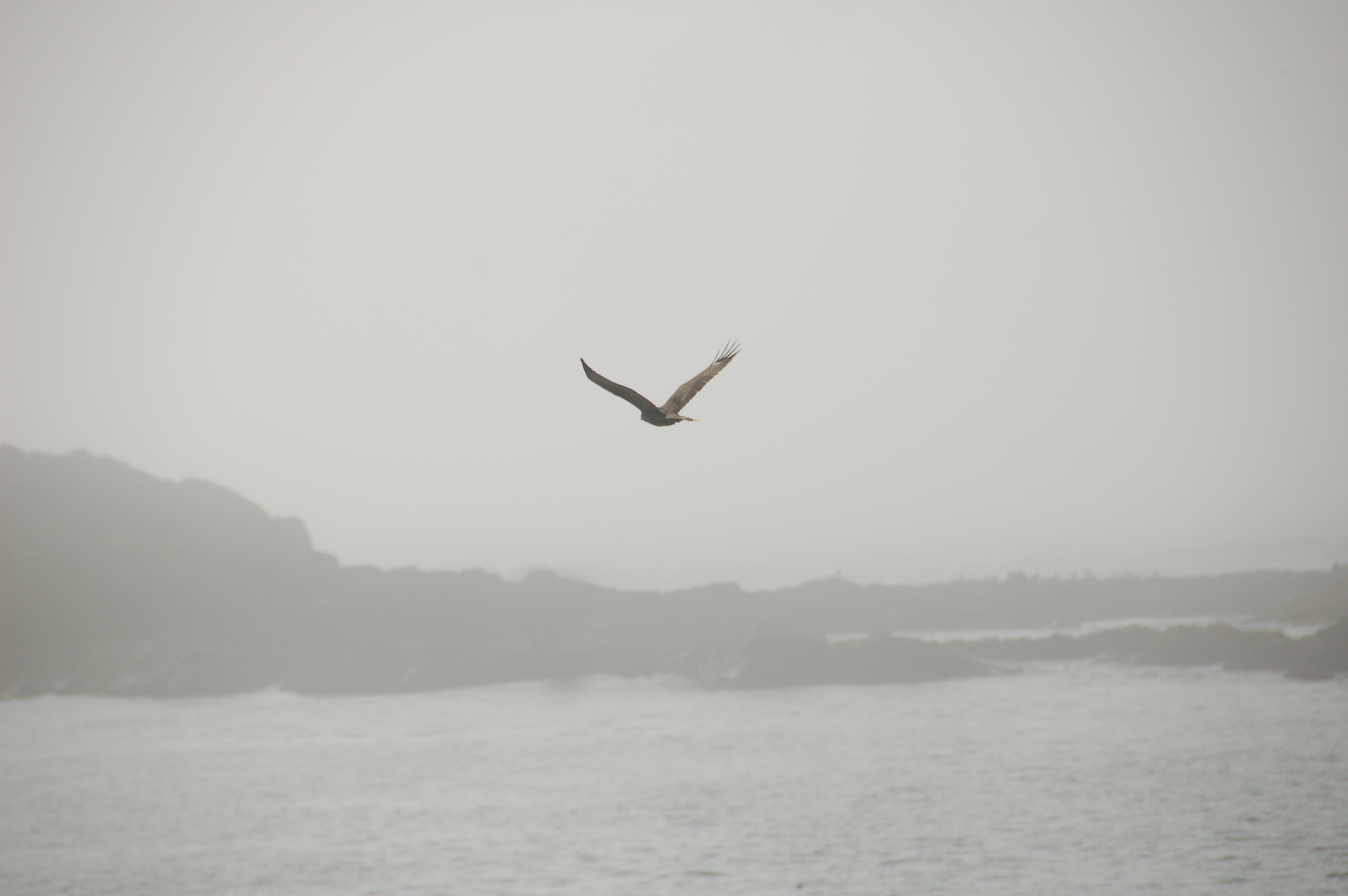 Simi Valley Corvettes