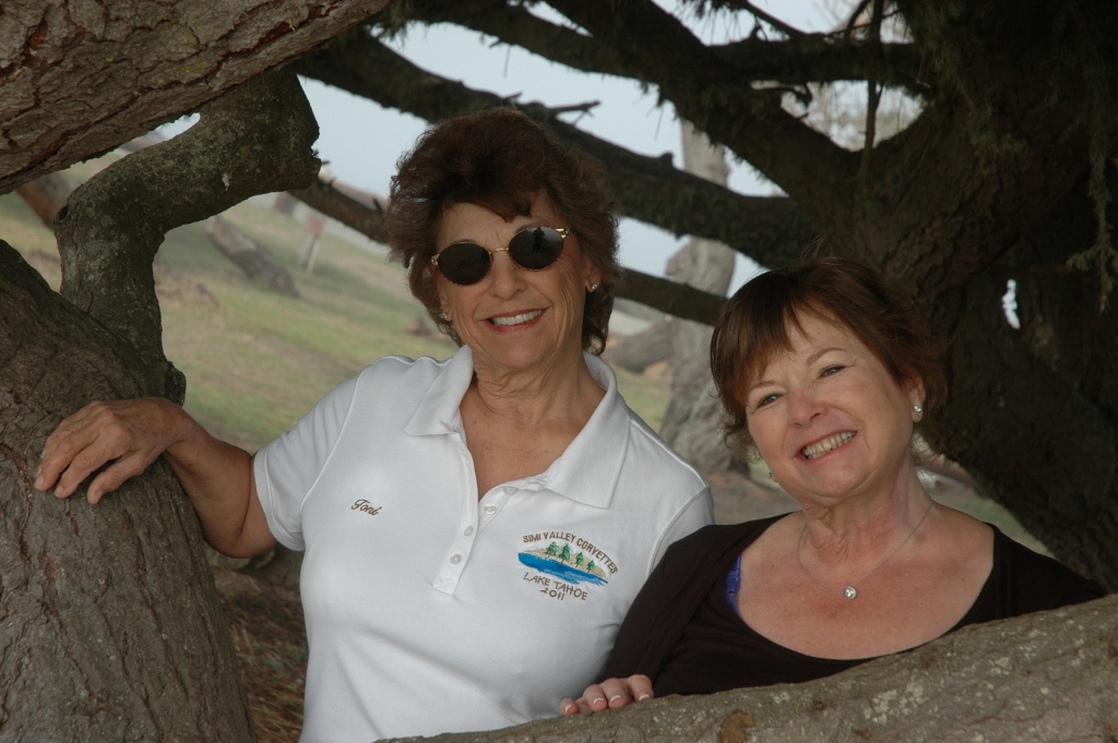 Simi Valley Corvettes