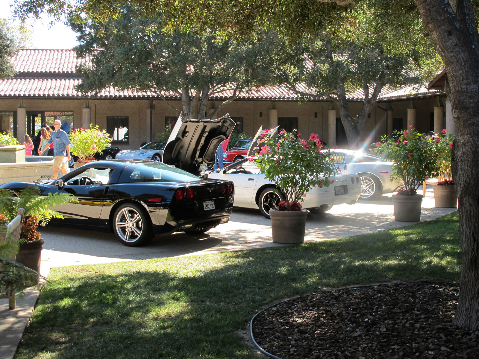 Simi Valley Corvettes