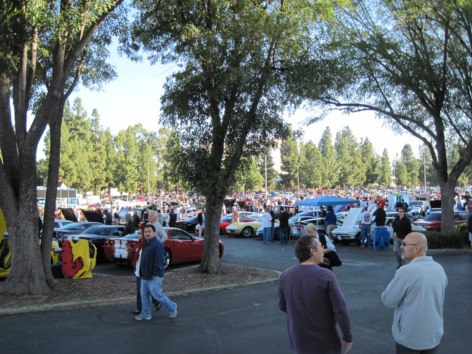 Simi Valley Corvettes