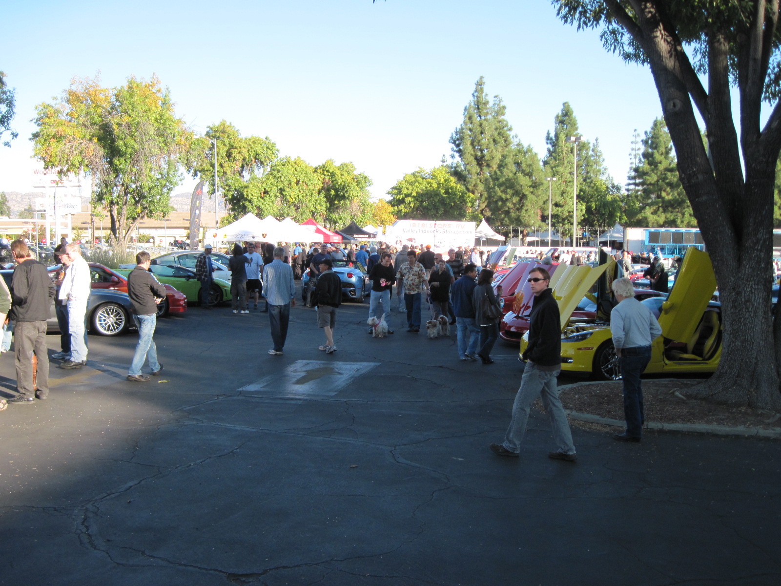 Just another Sun morn in SoCal