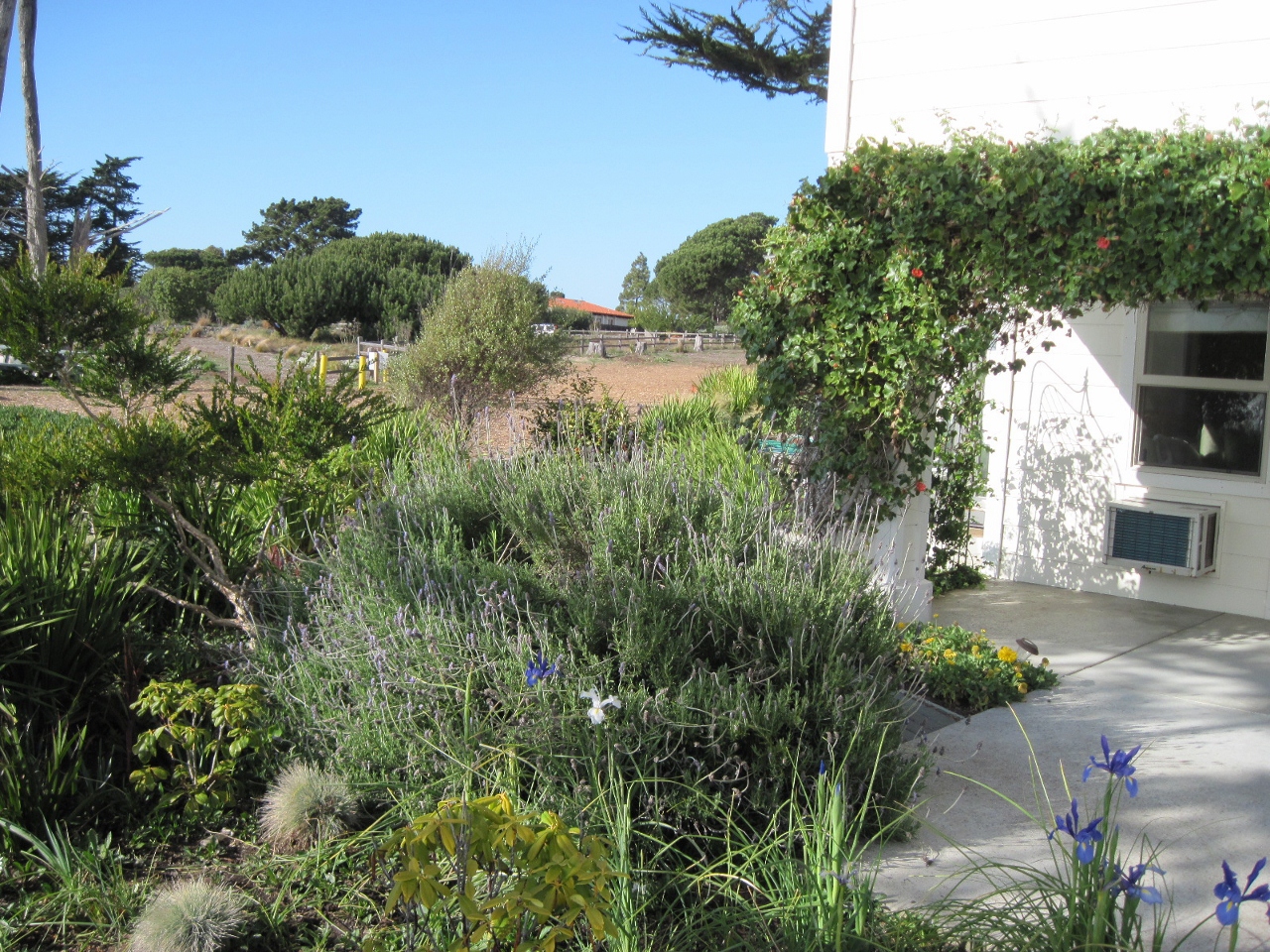 Simi Valley Corvettes