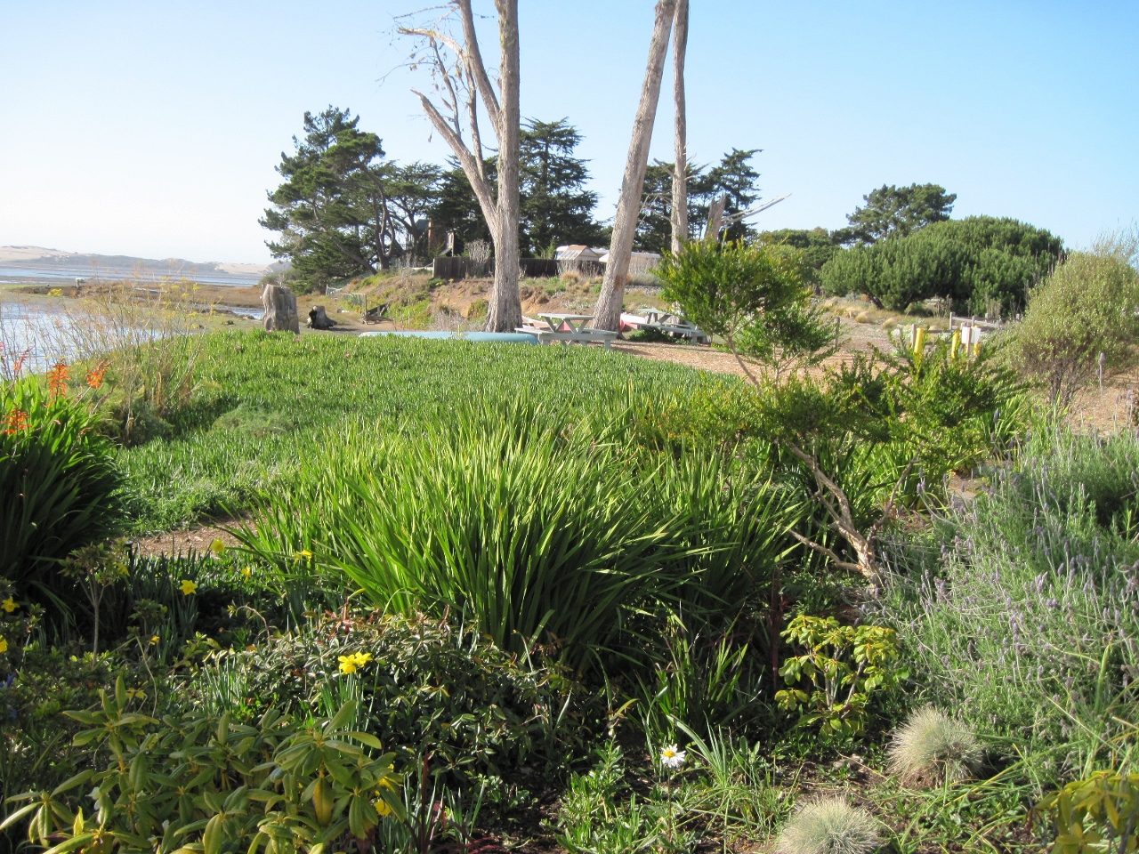 Simi Valley Corvettes