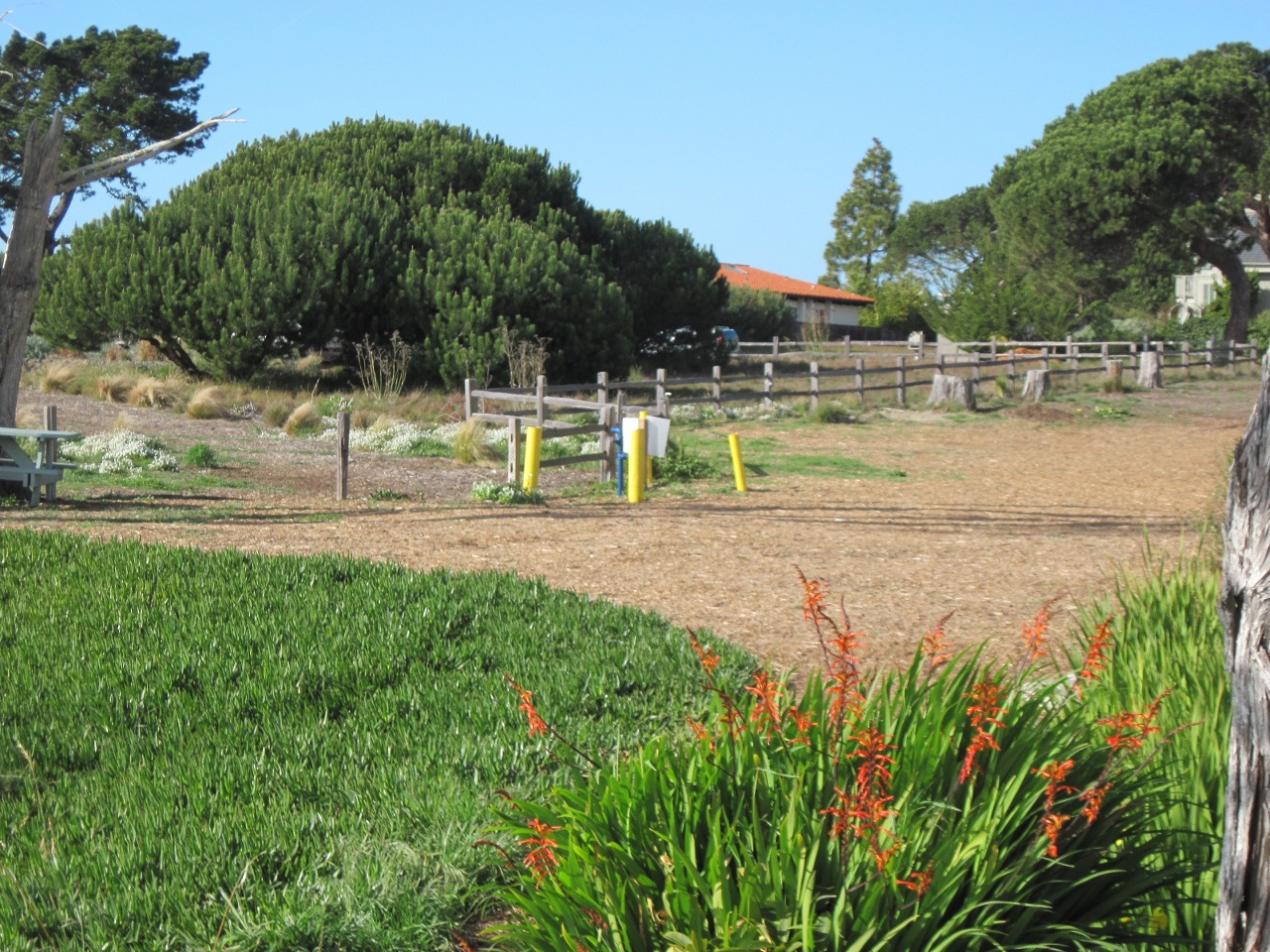 Simi Valley Corvettes