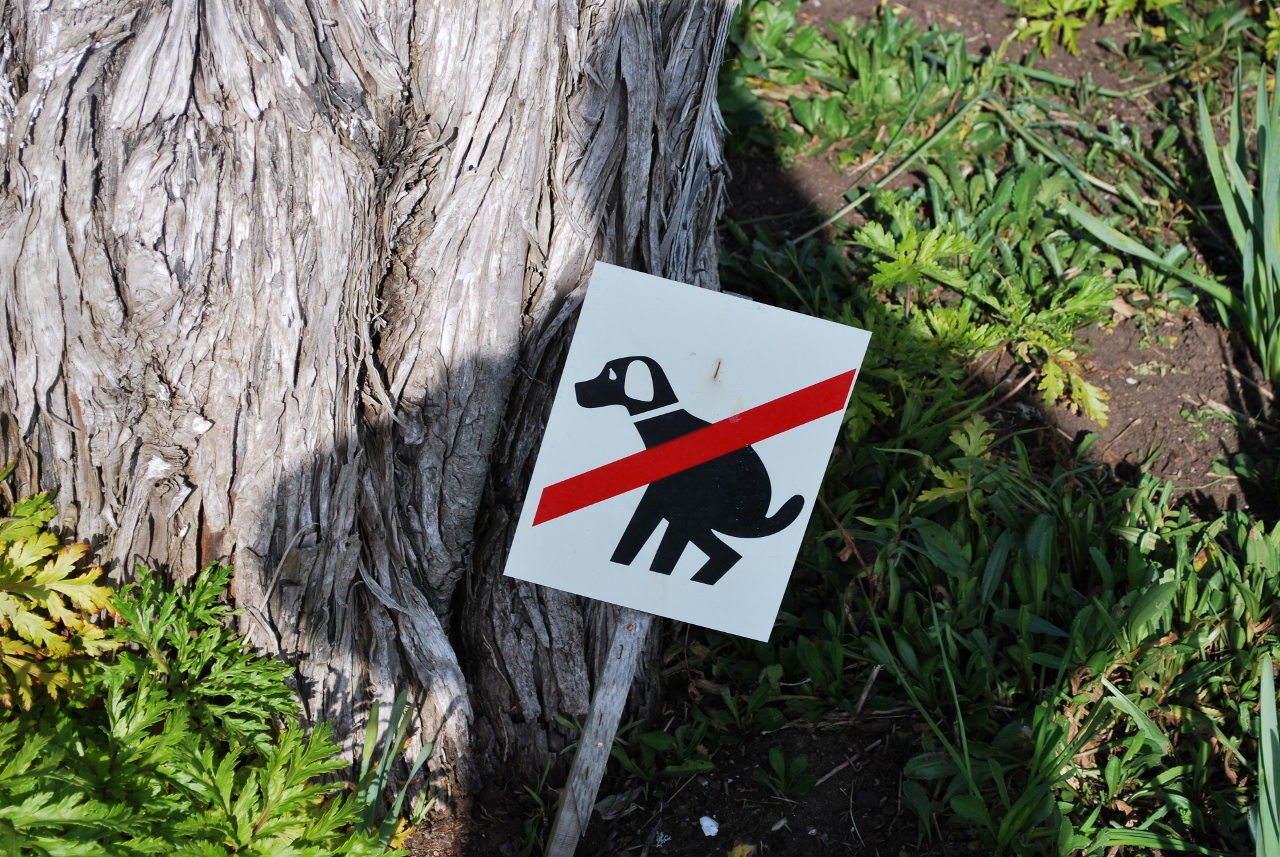 Simi Valley Corvettes