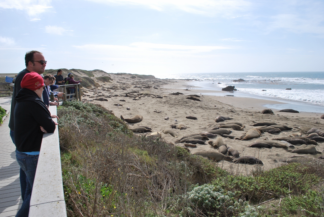 Simi Valley Corvettes