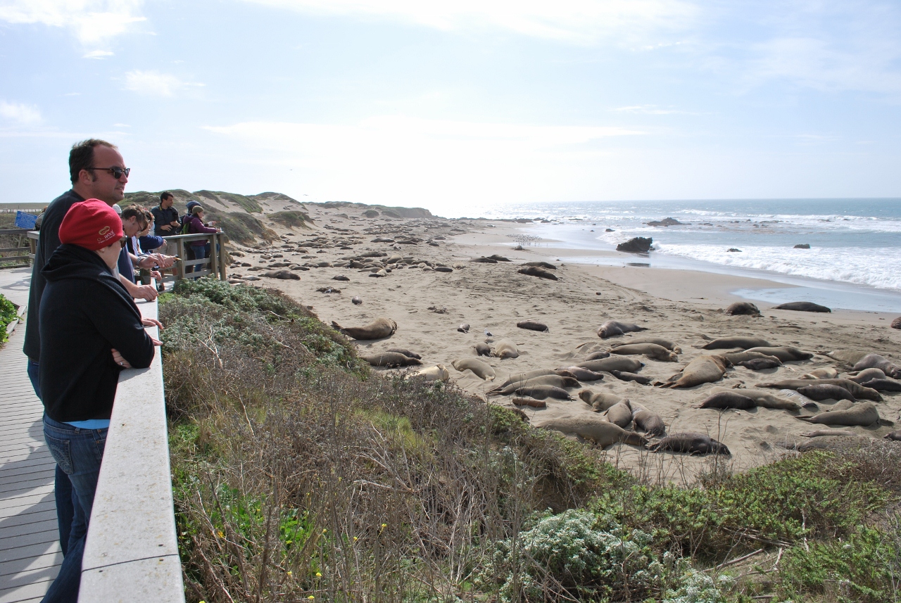 Simi Valley Corvettes