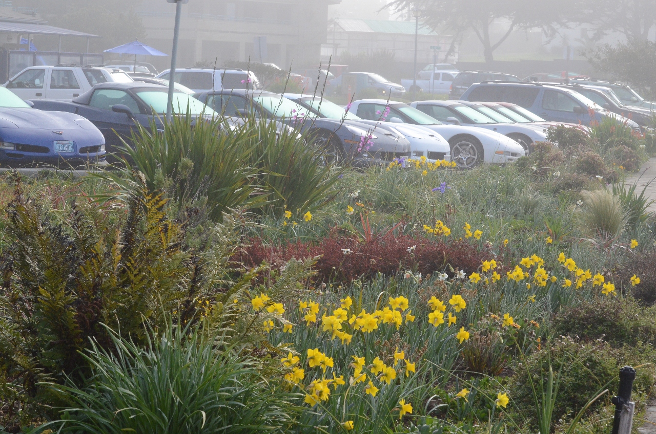 Simi Valley Corvettes