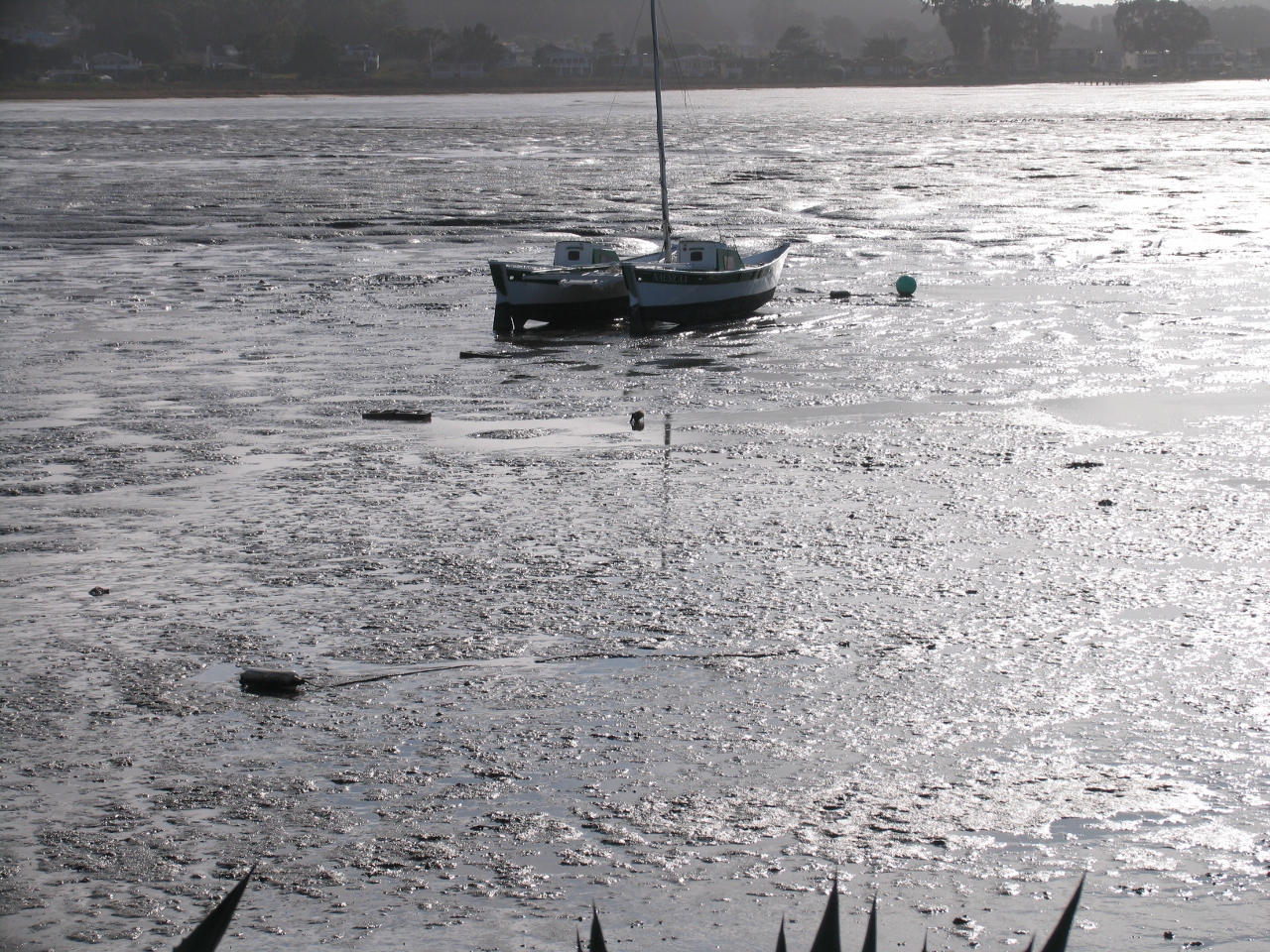 Simi Valley Corvettes