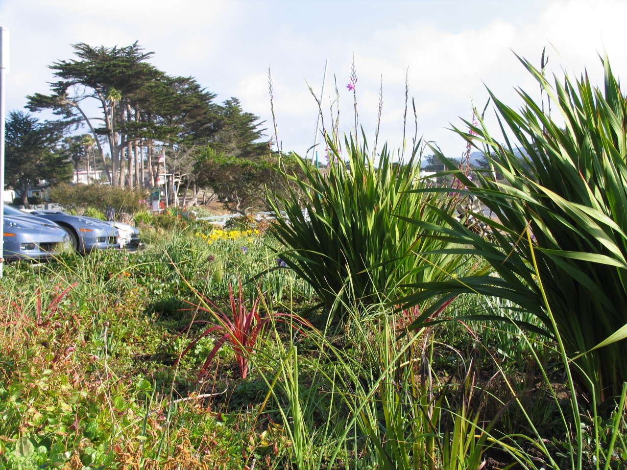 Simi Valley Corvettes