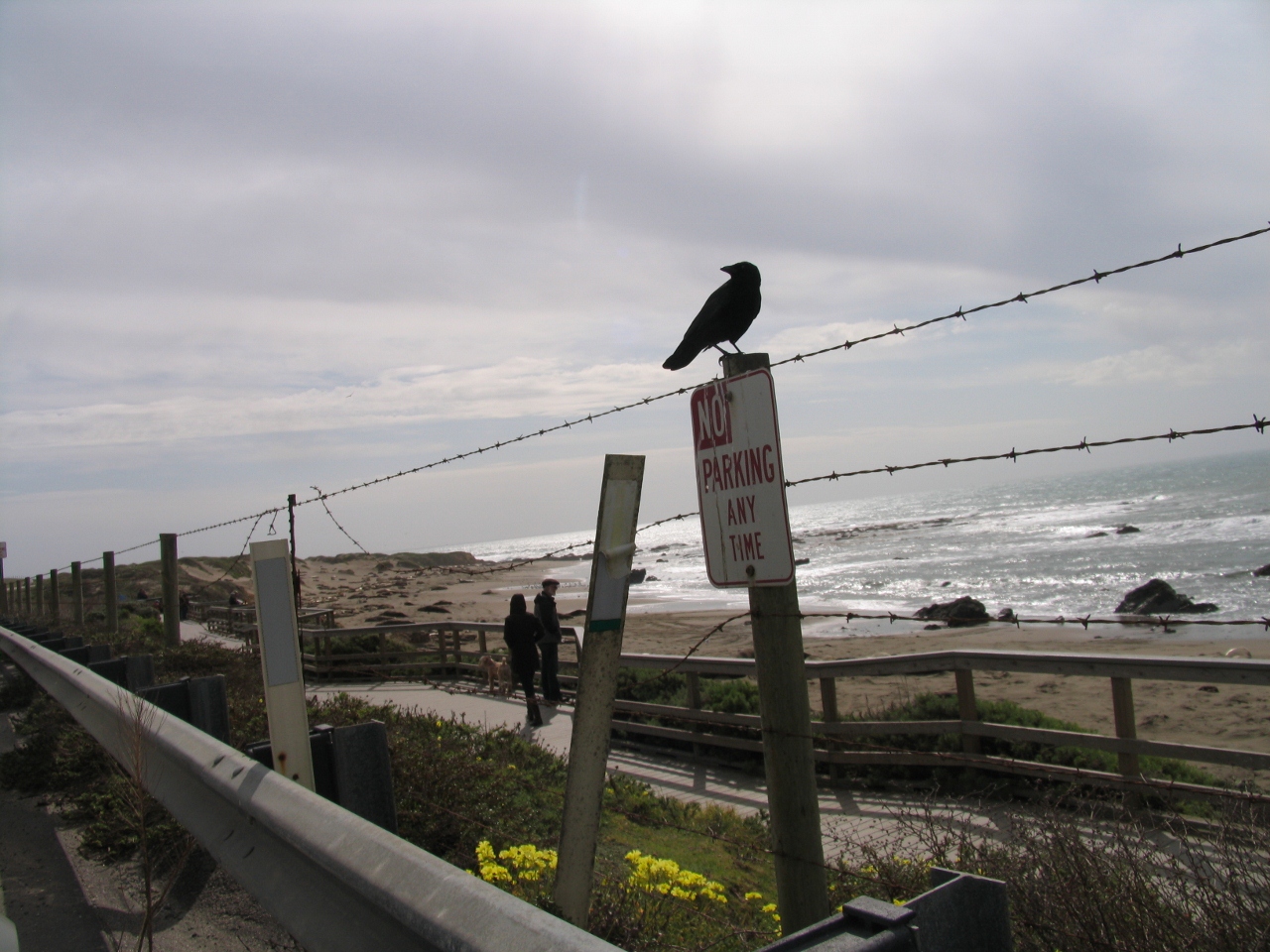 Simi Valley Corvettes