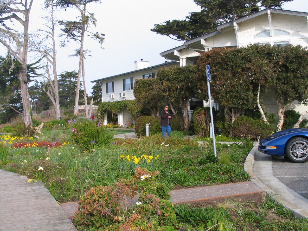 Simi Valley Corvettes