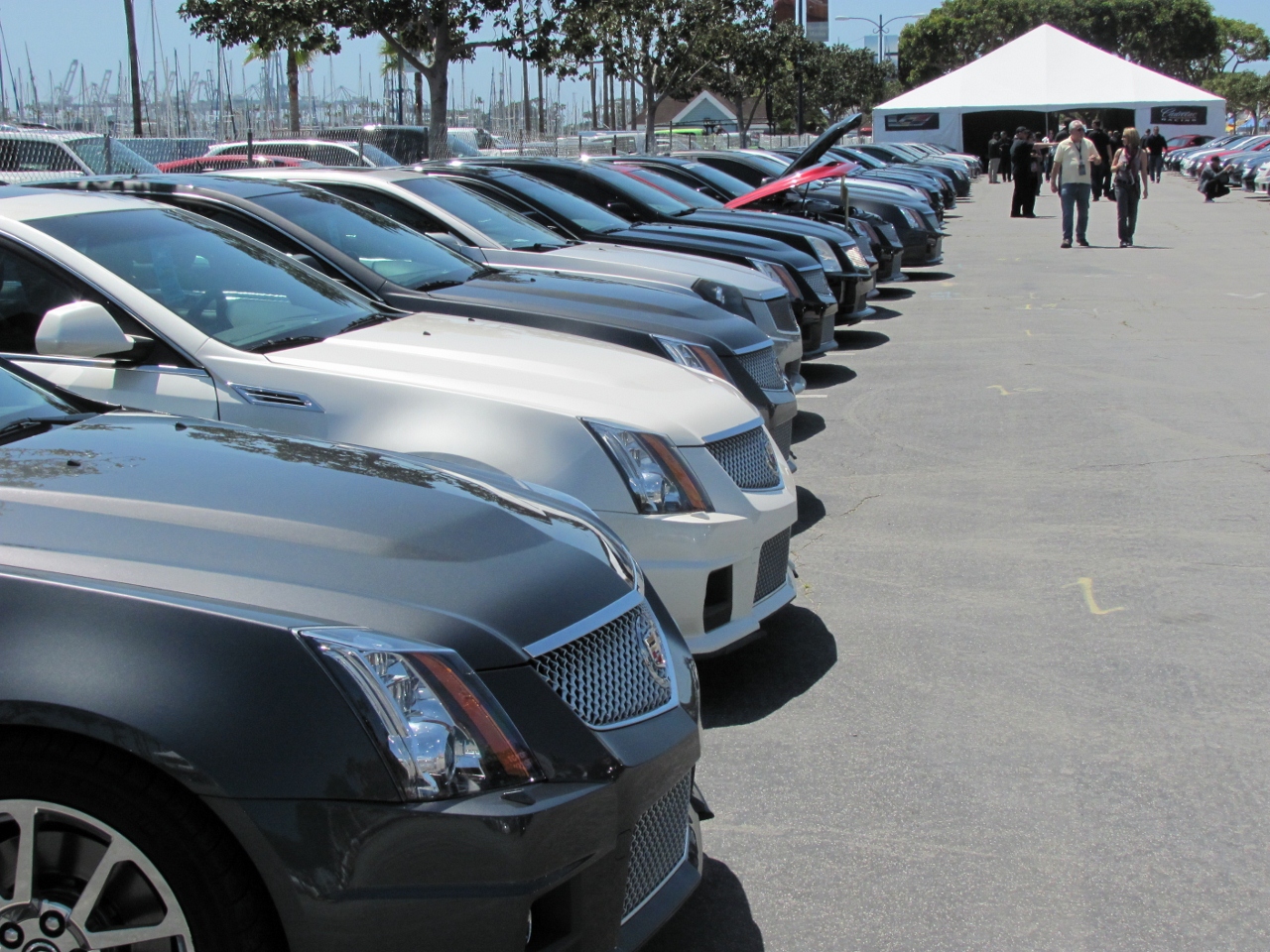 Simi Valley Corvettes