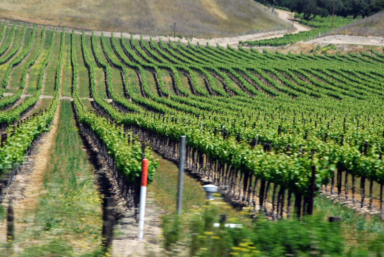 Simi Valley Corvettes