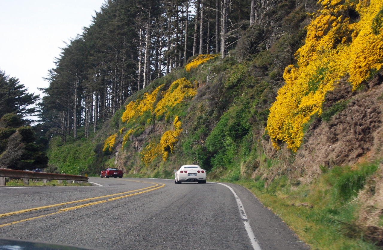 Simi Valley Corvettes