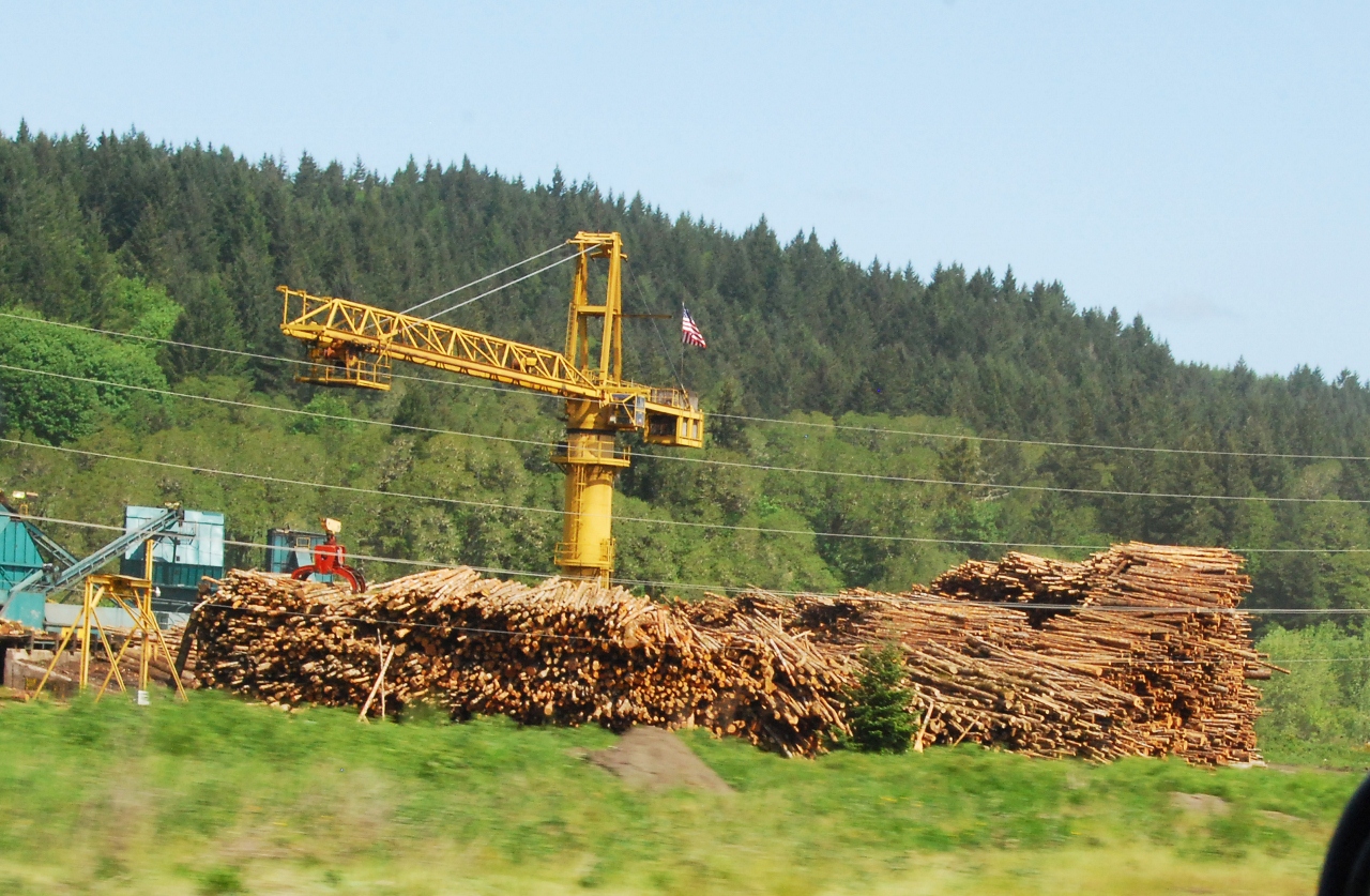 Simi Valley Corvettes