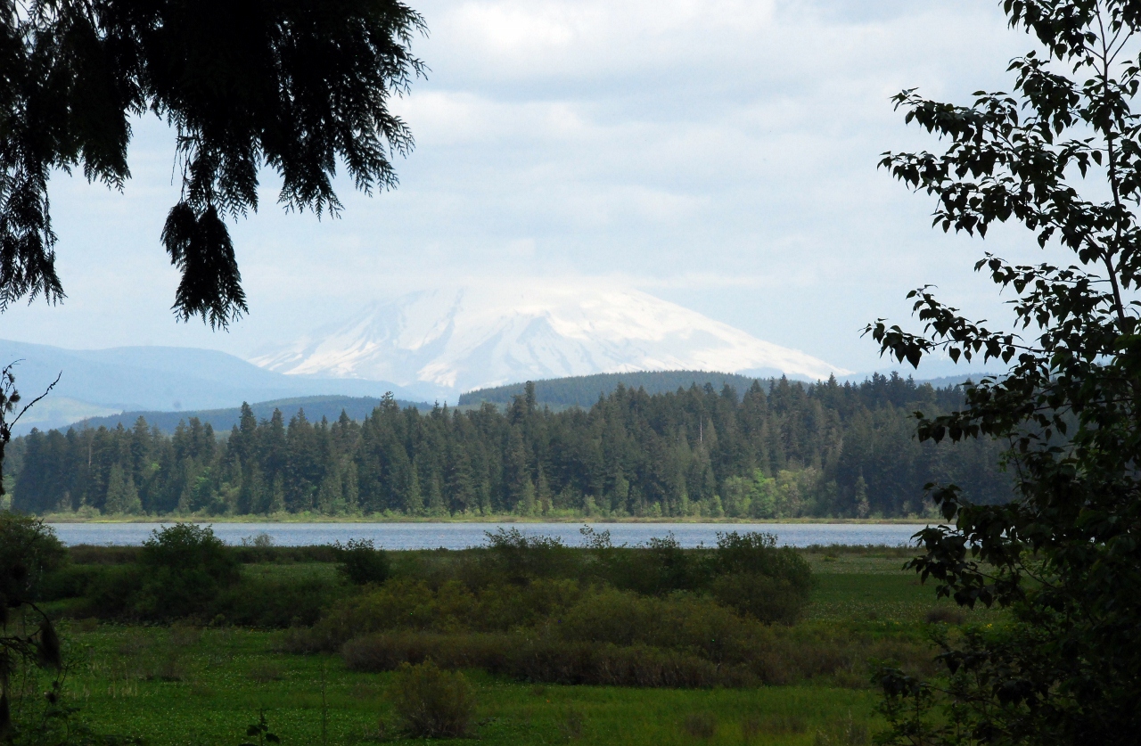 Simi Valley Corvettes
