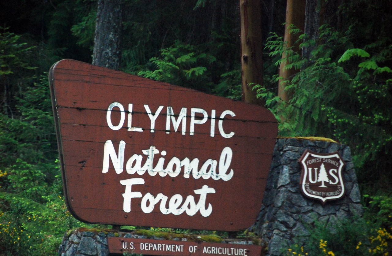 Simi Valley Corvettes