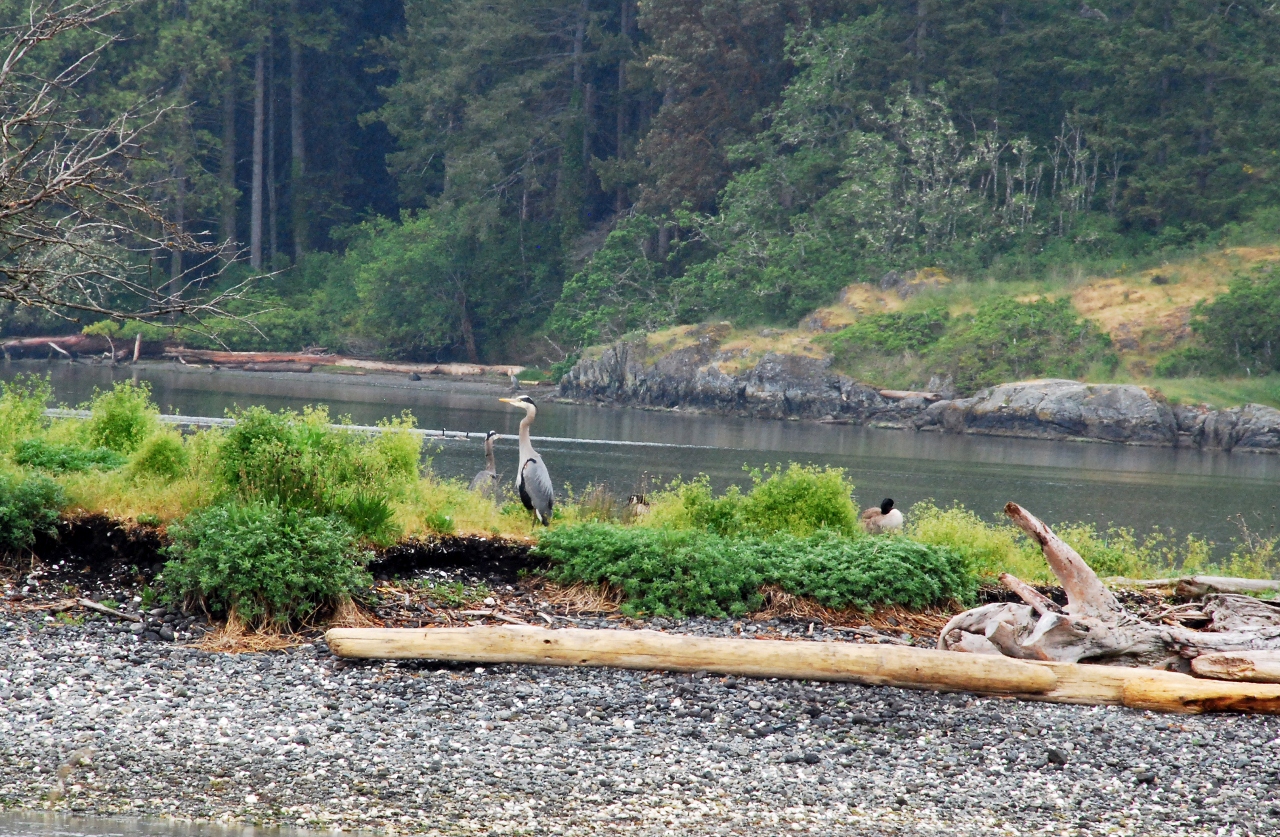Simi Valley Corvettes