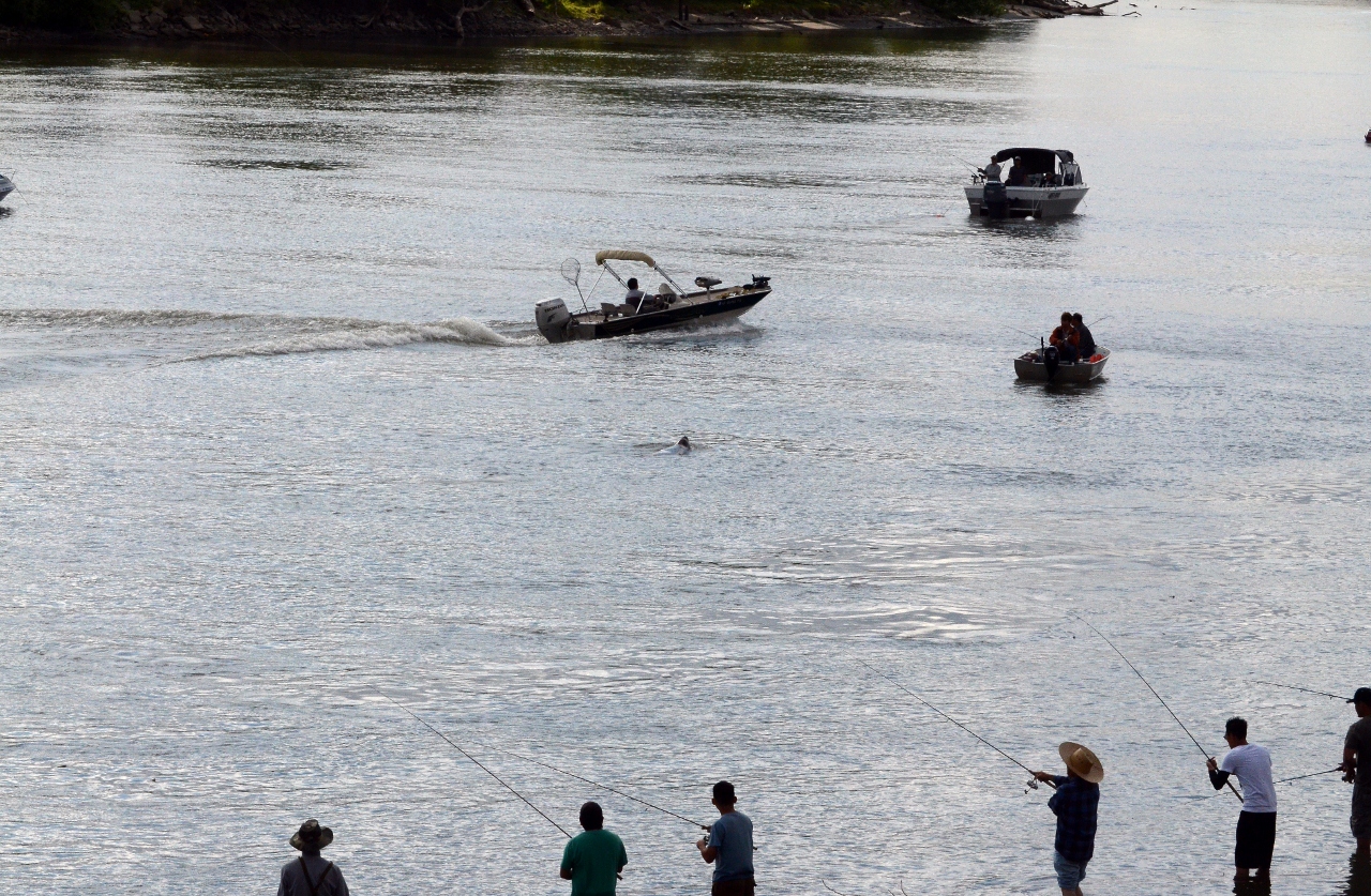 Simi Valley Corvettes