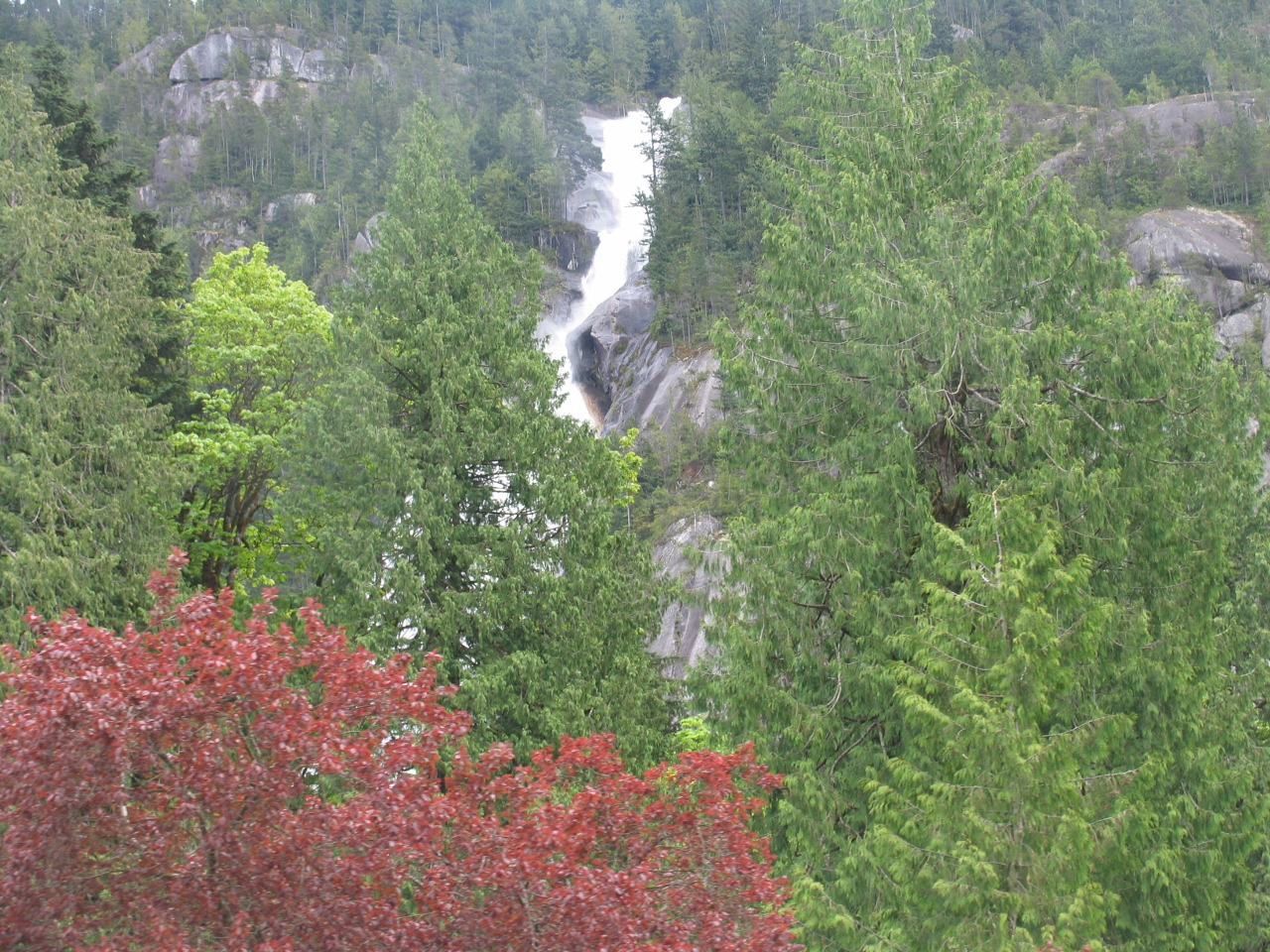 Simi Valley Corvettes