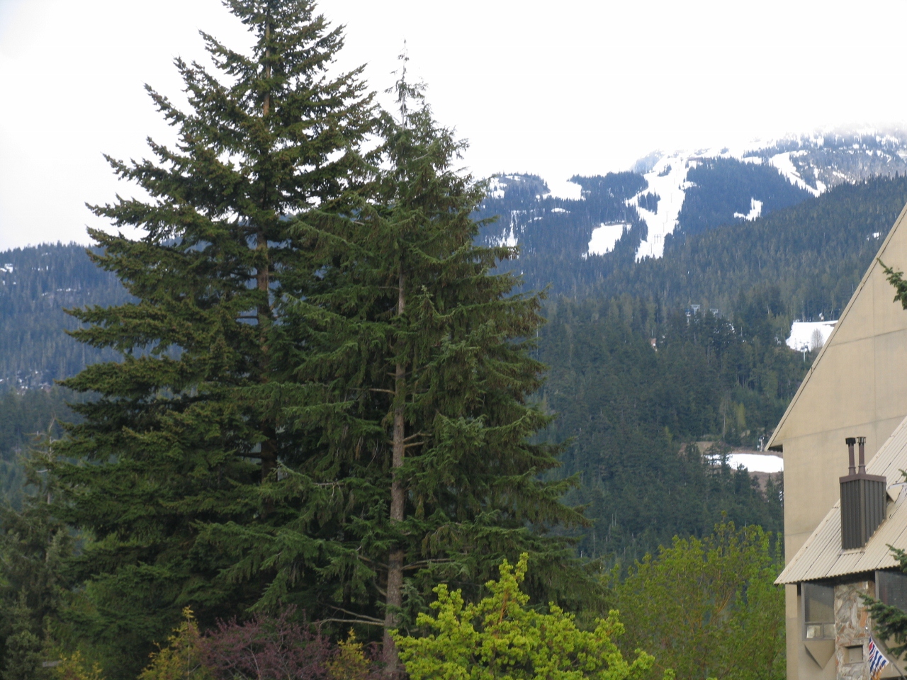 Simi Valley Corvettes