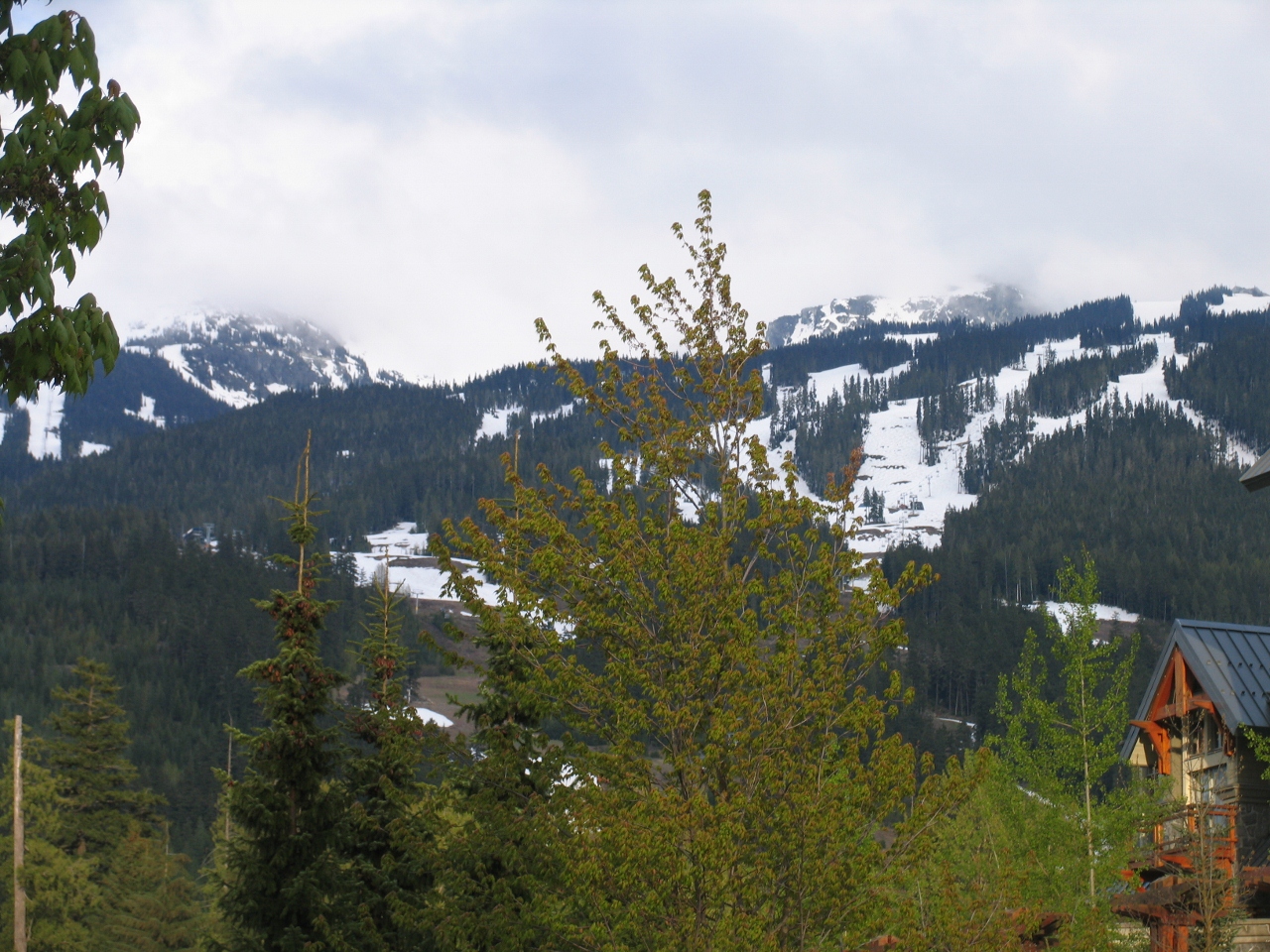 Simi Valley Corvettes