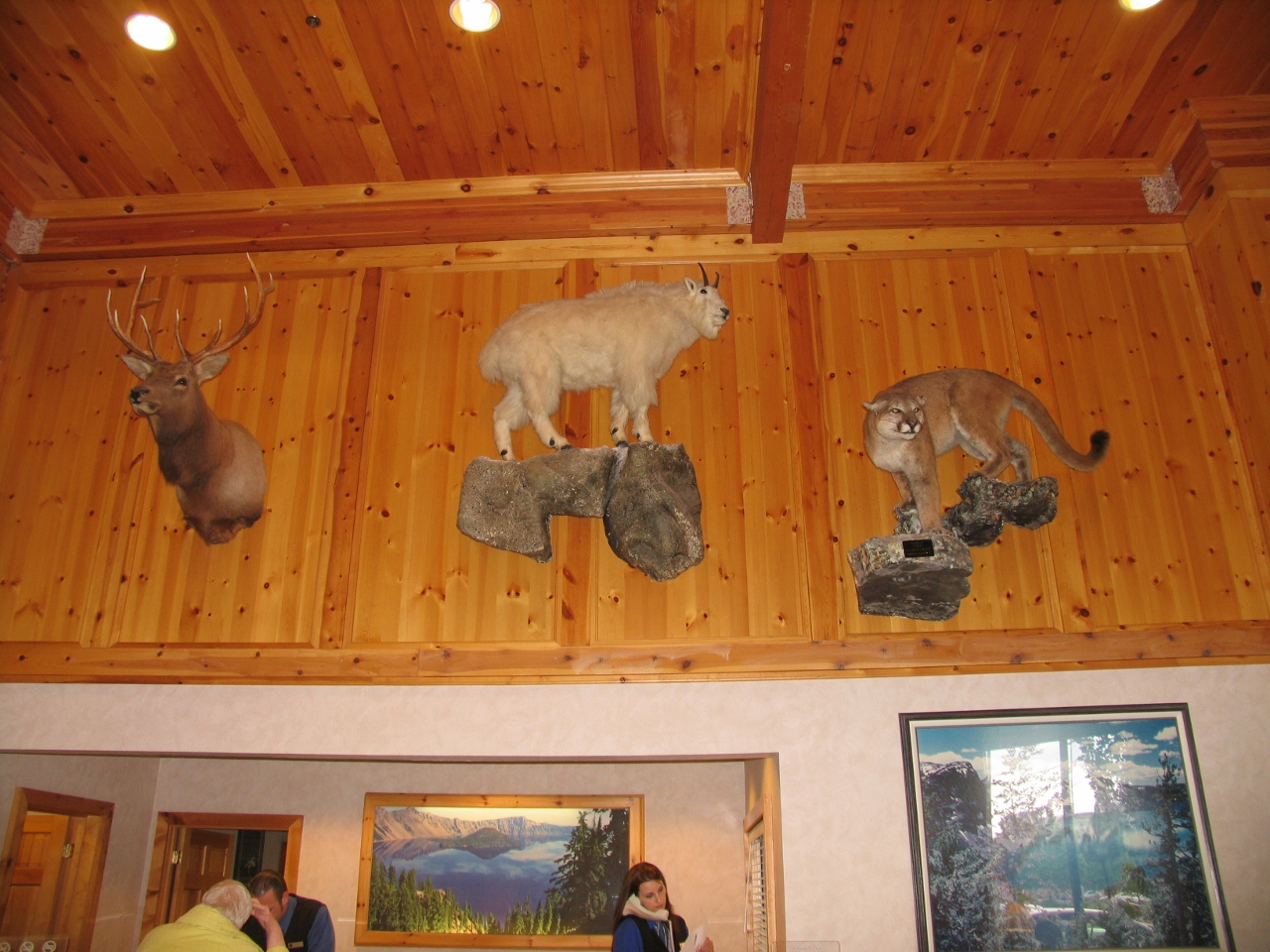 Simi Valley Corvettes