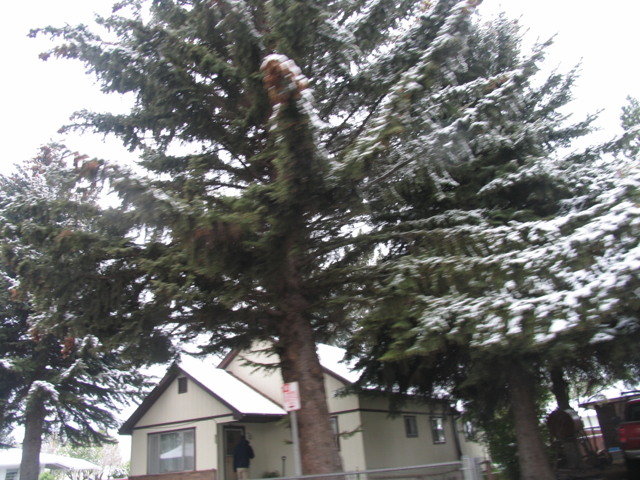 Simi Valley Corvettes