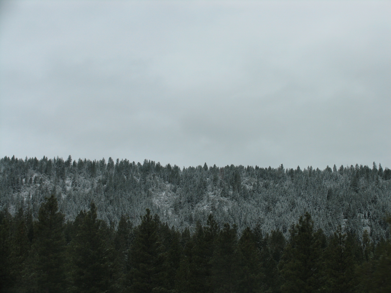 Simi Valley Corvettes