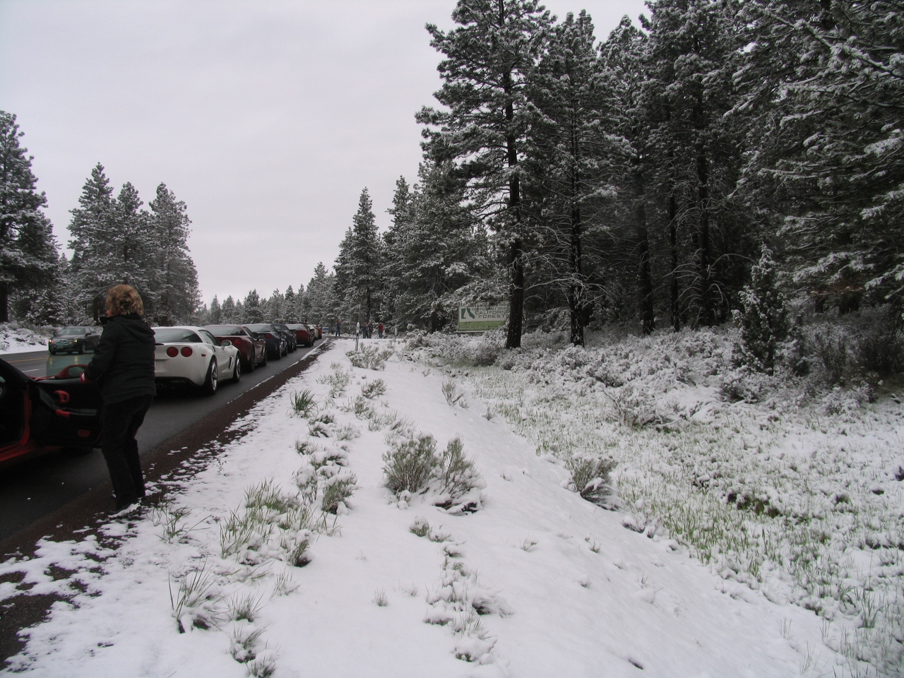 Simi Valley Corvettes