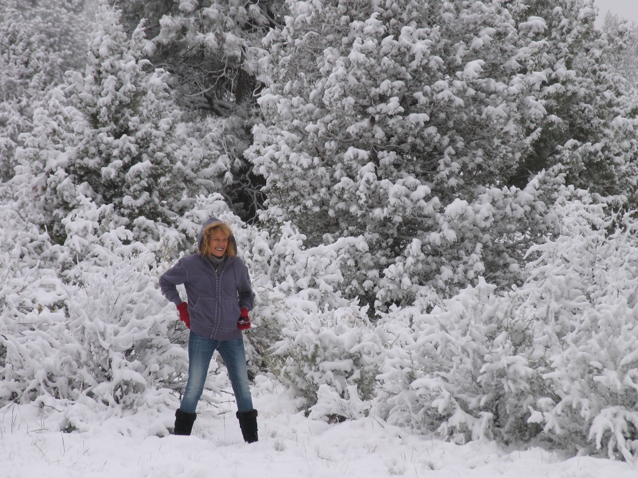 Simi Valley Corvettes