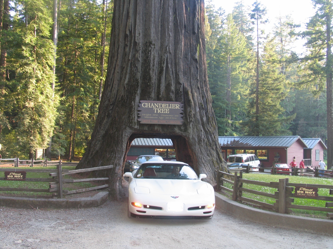 Simi Valley Corvettes