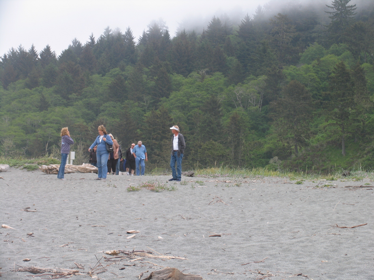 Simi Valley Corvettes