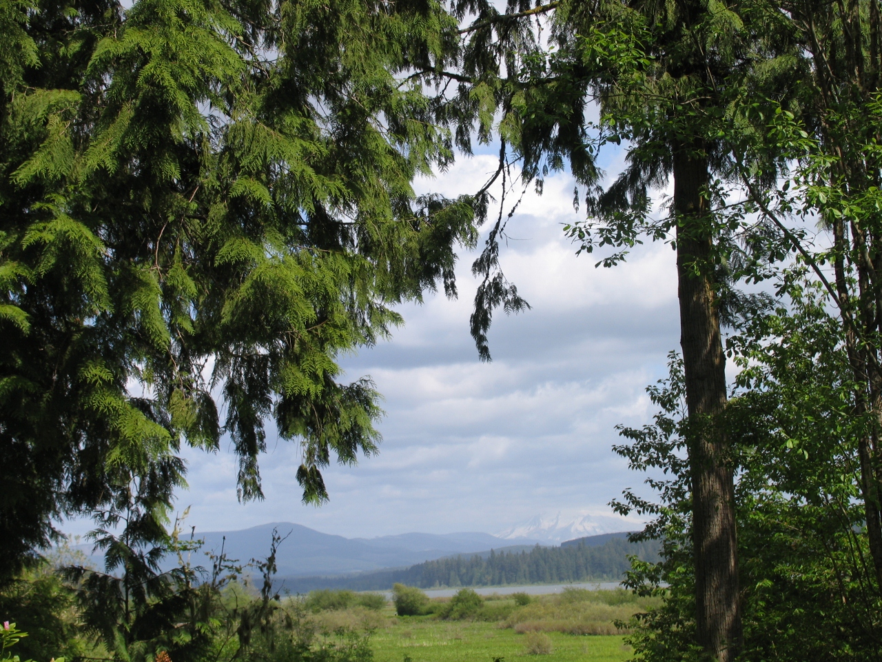 Simi Valley Corvettes