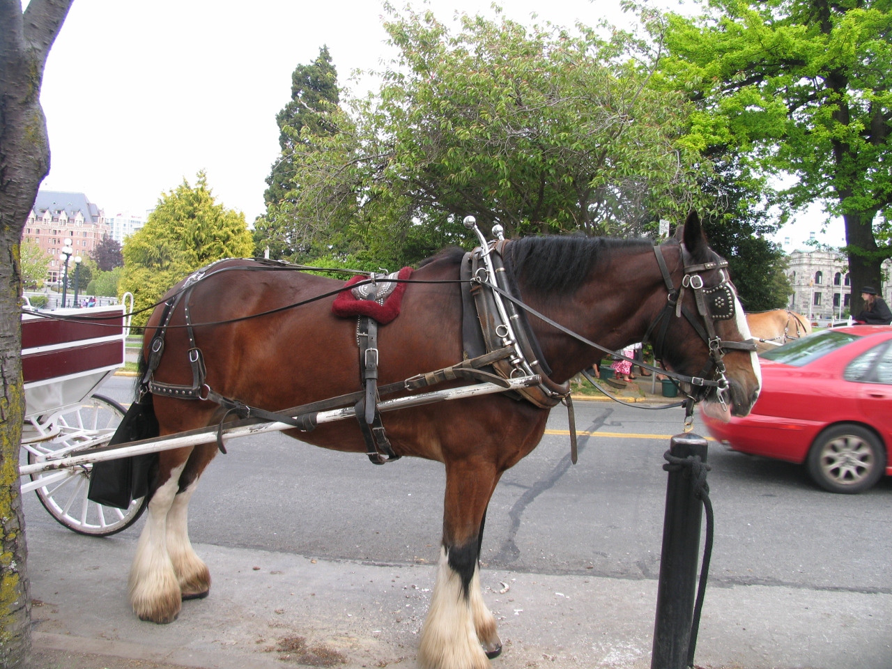 Simi Valley Corvettes