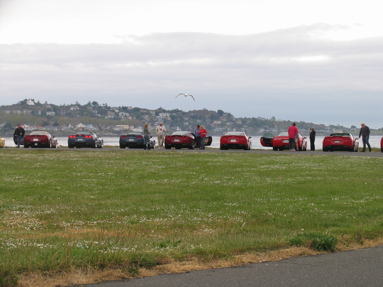 Simi Valley Corvettes