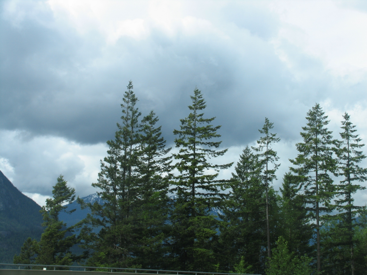 Simi Valley Corvettes
